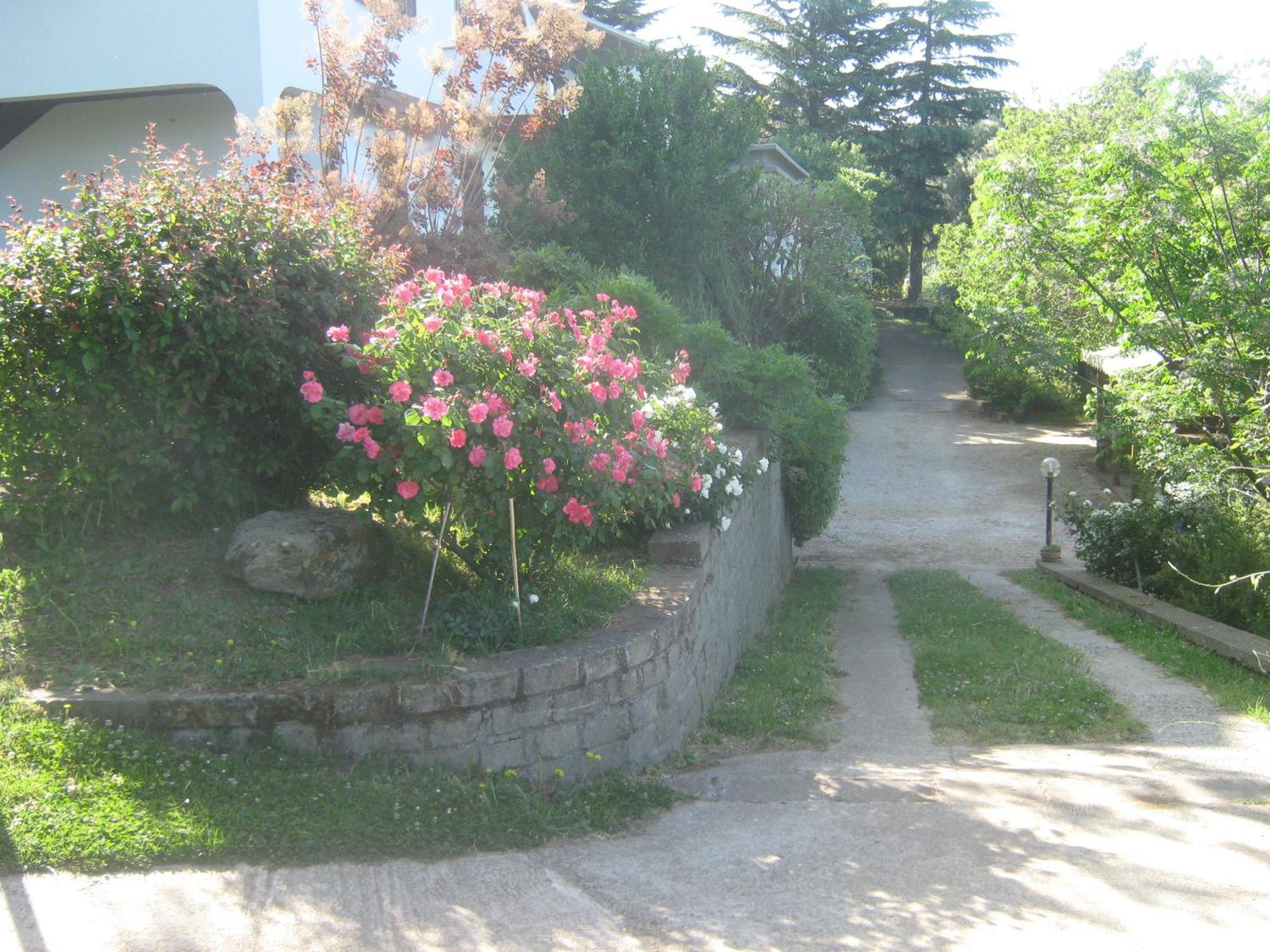 La Villa Di Lucia Viterbo Kültér fotó